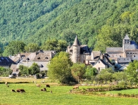 ( Aveyron ) Sainte-Eulalie-d'Olt