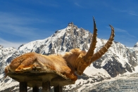 ( 74  )  Les Houches - Parc du Merlet