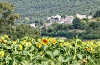 Saint Vincent de Barrès  ( 07 )