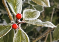 Saint Vincent de Barrès  ( 07 )