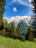 ( 74  )  Les Houches - Parc du Merlet