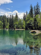 Le lac vert - Passy  ( 74 )