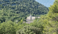 L' abbaye de Sénanque - Gordes ( 84 )