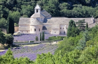 L' abbaye de Sénanque - Gordes ( 84 )