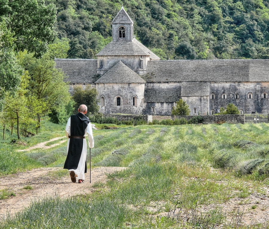 Abbaye de Sénanque ( 84 )