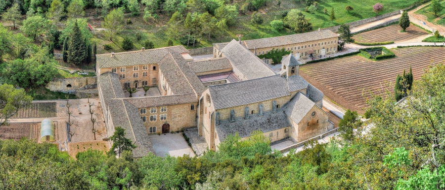 Abbaye de Sénanque ( 84 )