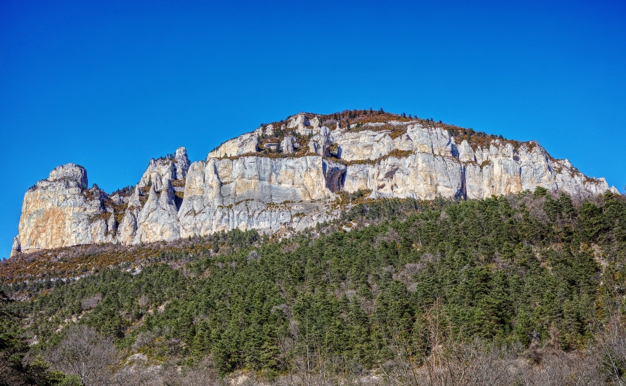 Montée vers le Col de Menée  ( 26 )