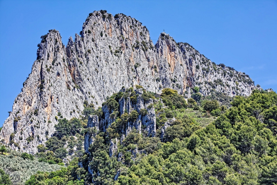 Buis les Baronnies ( 26 ) 