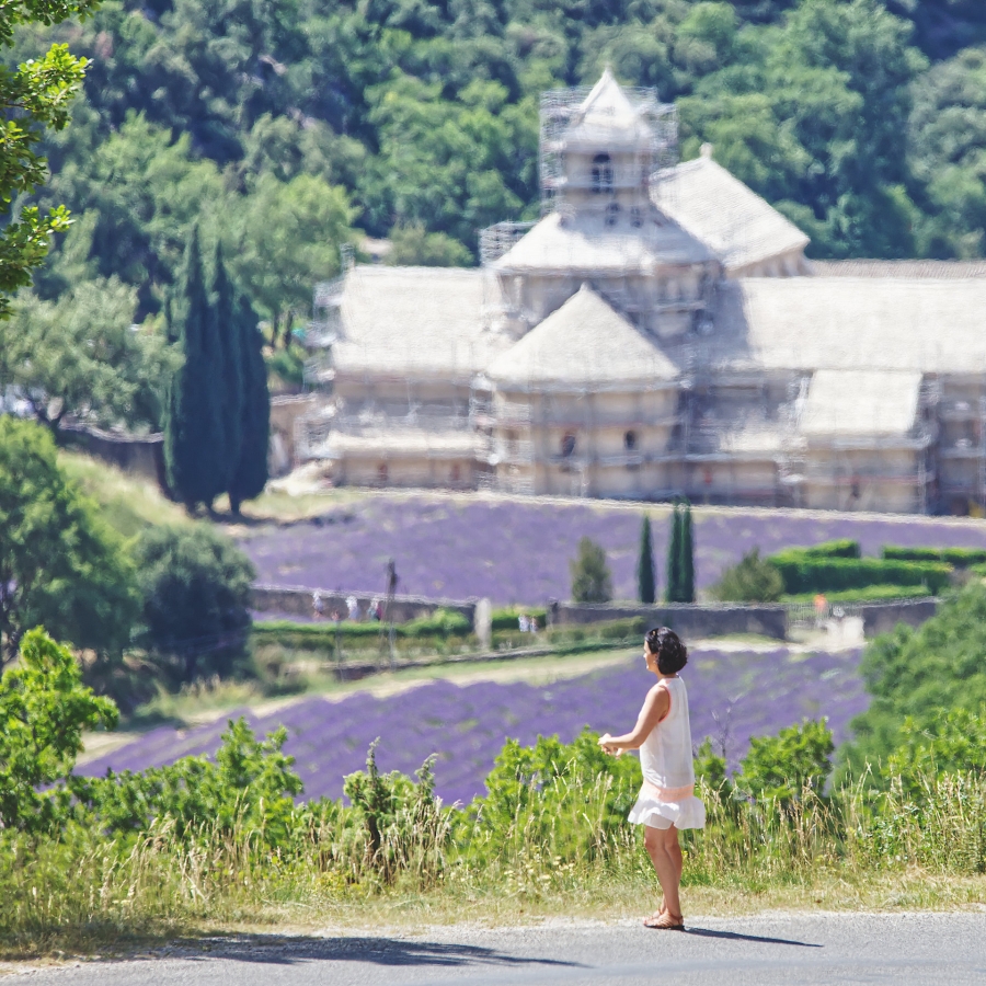 Vue plongeante sur l'abbaye de Sénanque  ( 84 )