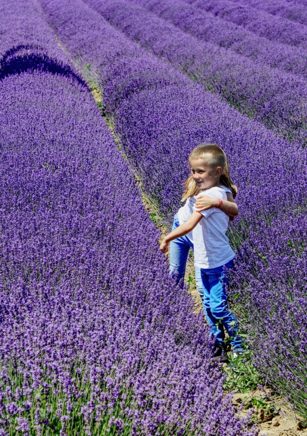 Dans la région de Sault  ( 84 )
