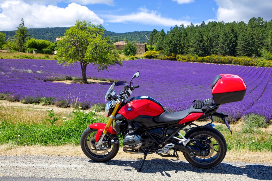 Dans la région de Sault  ( 84 )