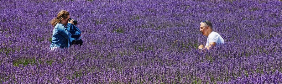 Dans la région de Sault  ( 84 )
