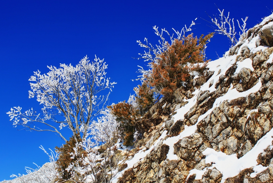 Neige au col du Rousset  ( 26 )