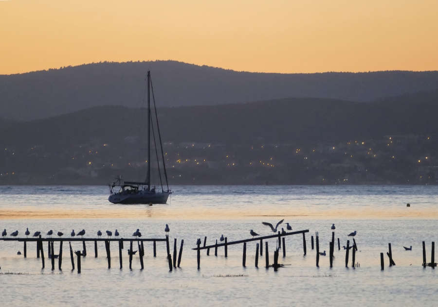 Le Brusc - Six Fours les Plages  ( 83 )