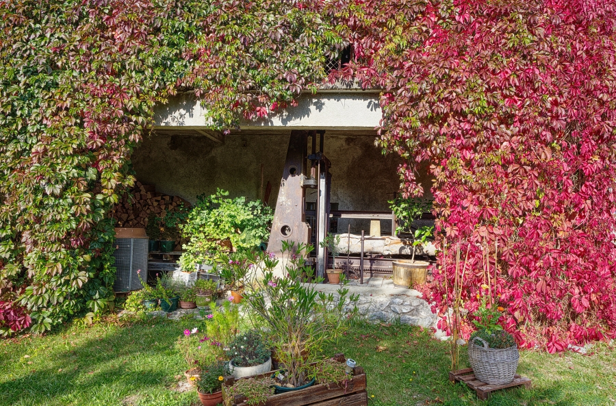 Près de Lans en Vercors  ( 38 )