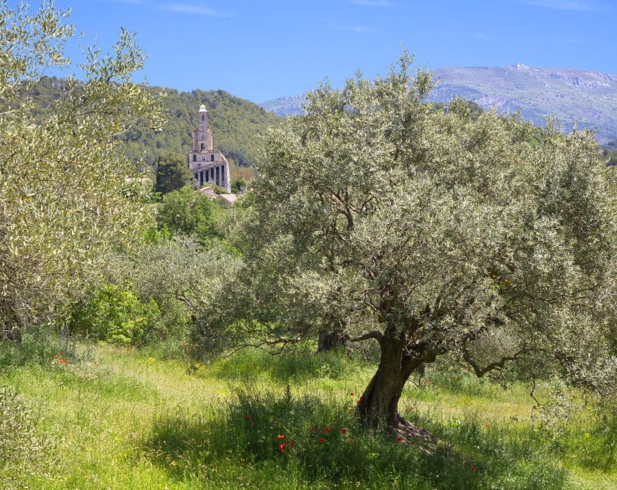 Pierrelongue  ( 26 )