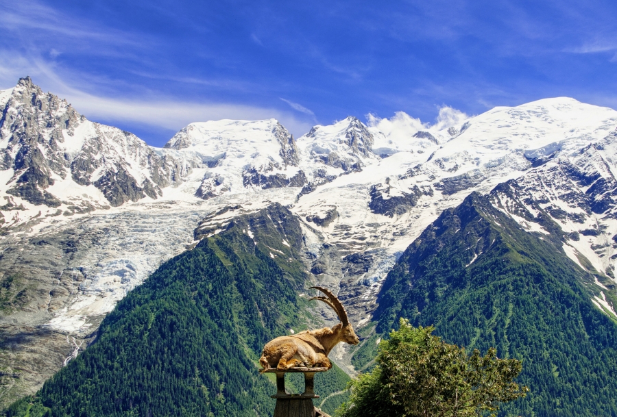 ( 74  )  Les Houches - Parc du Merlet