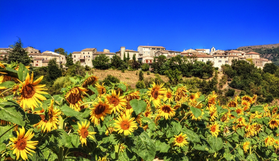 Saint Vincent de Barrès  ( 07 )