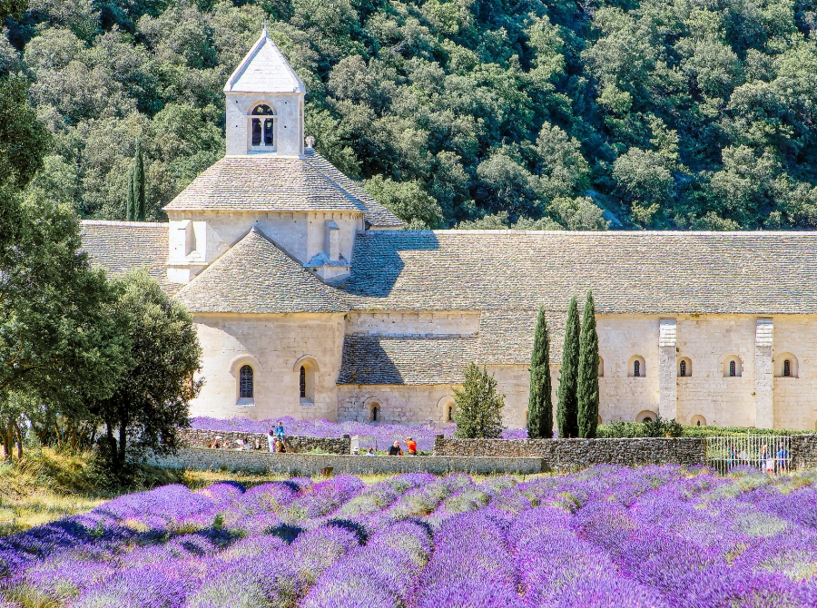 L' abbaye de Sénanque - Gordes ( 84 )