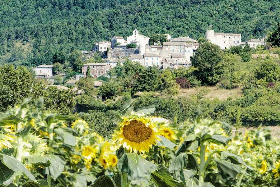 Saint Vincent de Barrès  ( 07 )