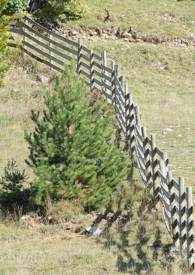 Le plateau de Beure  ( 26 )